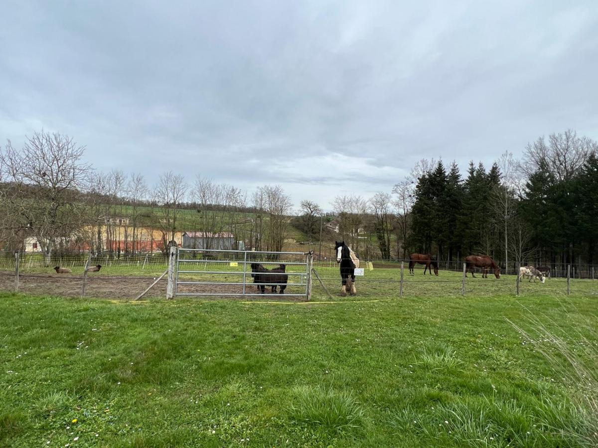 Willa Le Hameau Du Peu Châteauvieux Zewnętrze zdjęcie